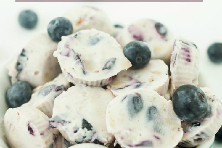 Blueberry-Yogurt-Protein-Bites