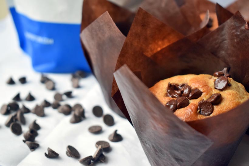 Protein Brownie Mix and Protein Muffin Mix