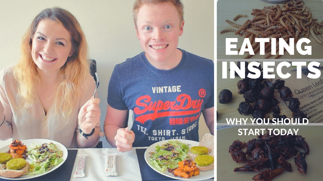 eating insects why you should start today
