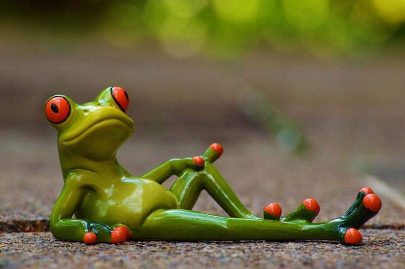 relaxing frog